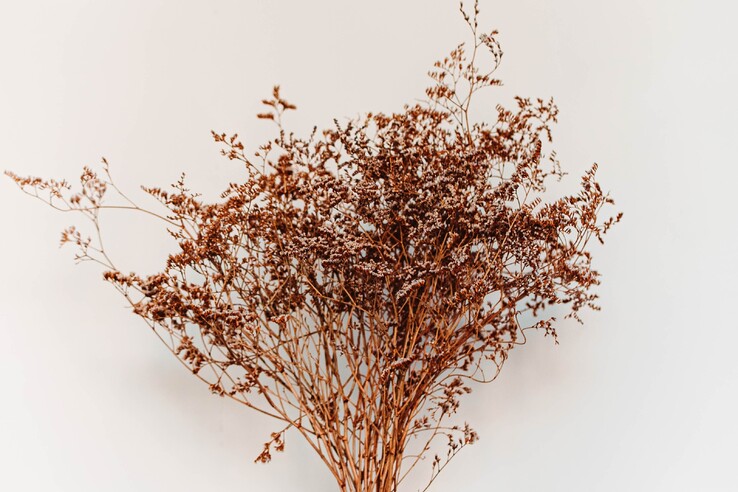 Apply for friendly link