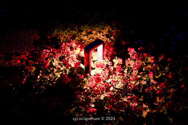 Aperture 202405 #24