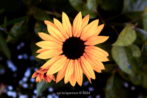 Aperture 202405 #22