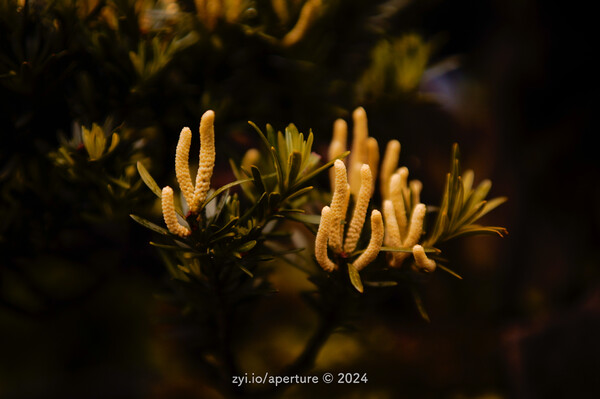 Aperture 202405 #15