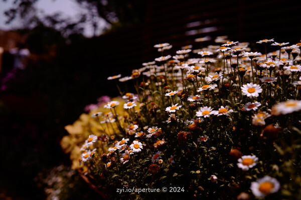 Aperture 202405 #13