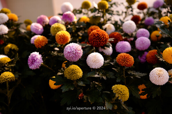 Aperture 202405 #18