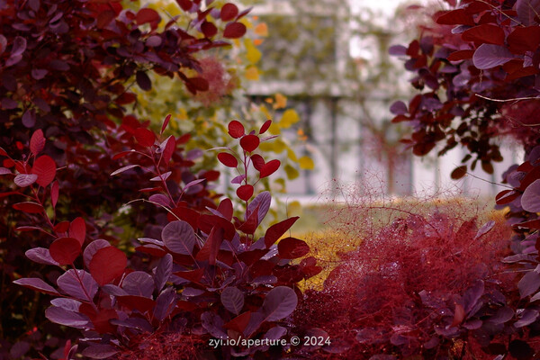 Aperture 202405 #4