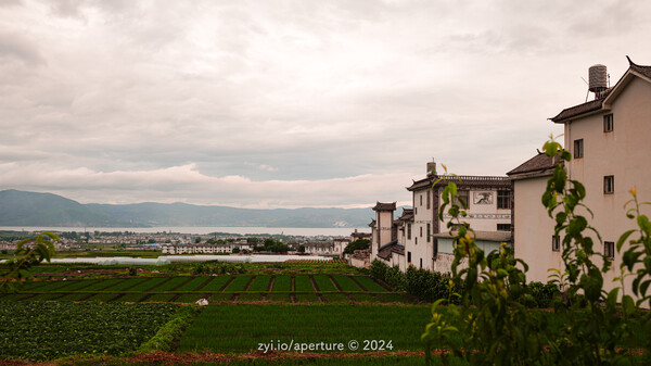 Aperture 202407 #23