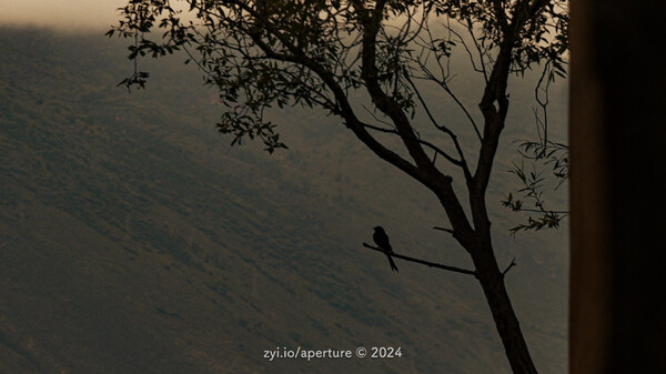 Aperture 202407 #18