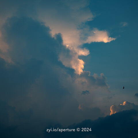 Aperture 202408