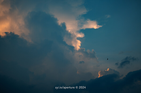 Aperture 202408 #1