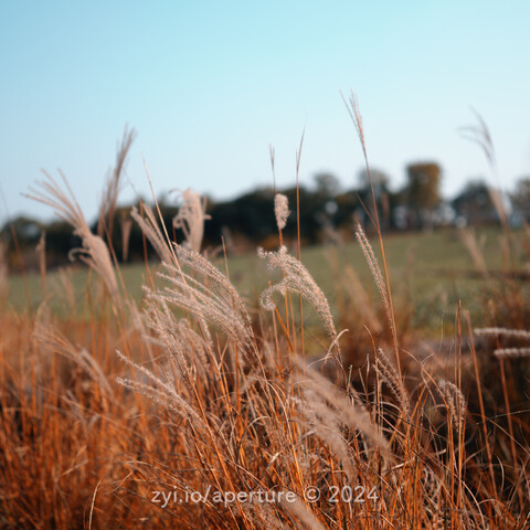 Aperture 202411