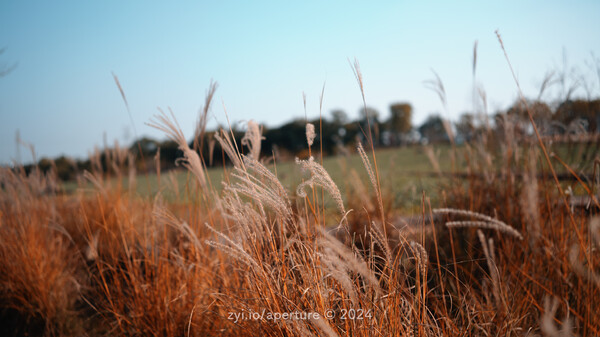 Aperture 202411 #1